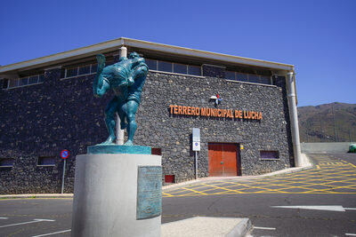 Club Deportivo de Lucha Chijafe
